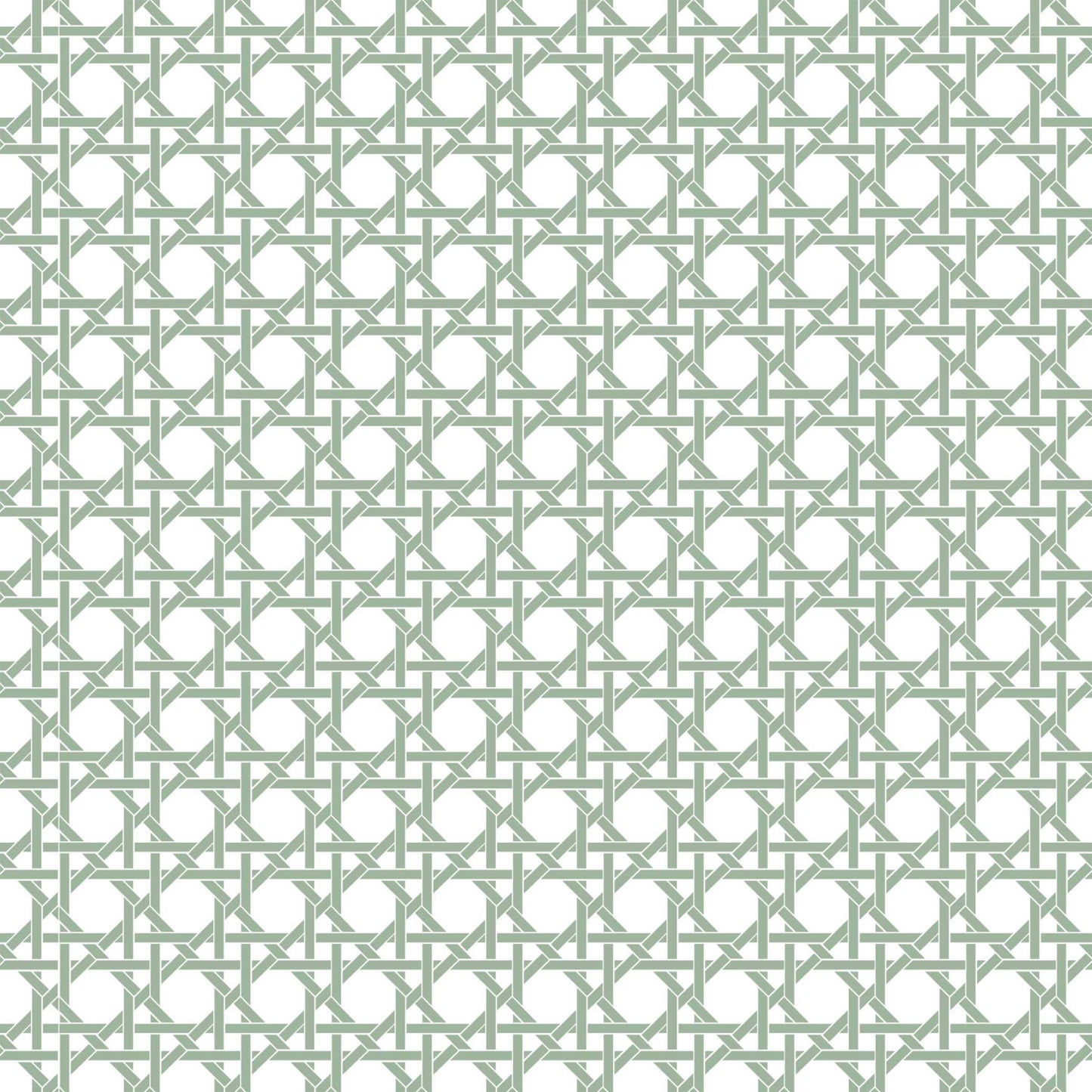 Beau Bottles Sage and White Cane - Prosecco Collection