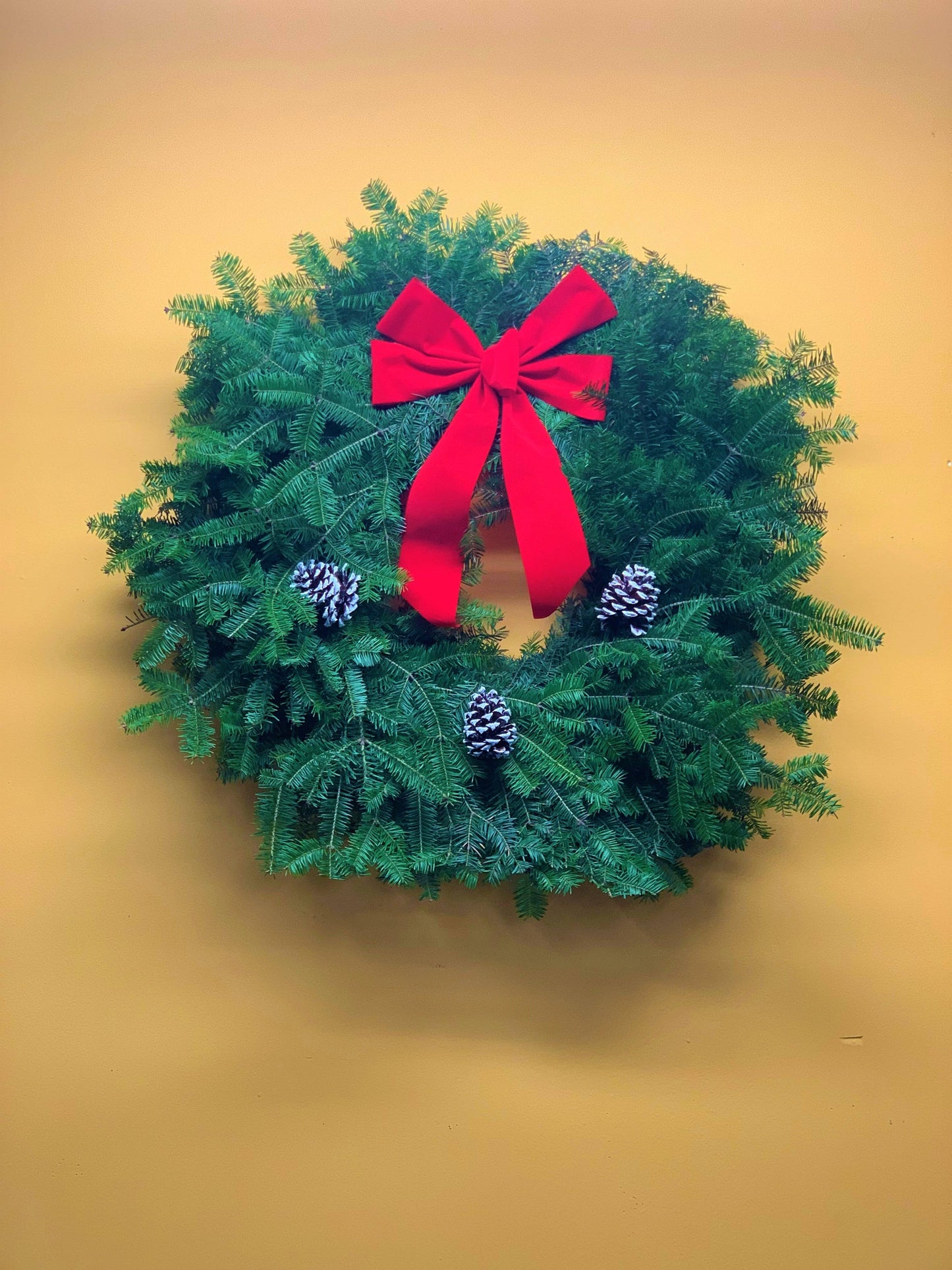 24" Balsam Christmas Wreath